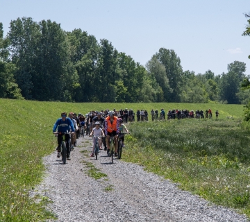 Biciklijda-put-bijele-rode-5