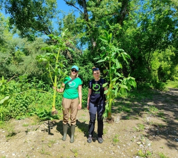 Bioblitz