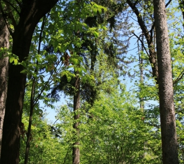 IMG_1726-1-e1683550868716