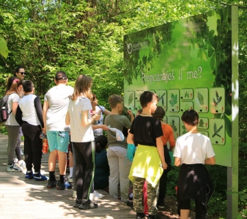 Radionice-upoznajmo-sumu-Straznik-43