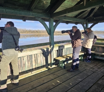 FOTO-SAFARI-MOCVARA-PUNA-ZIVOTA-16