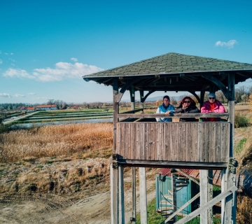 FOTO-SAFARI-MOCVARA-PUNA-ZIVOTA-26