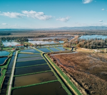 FOTO-SAFARI-MOCVARA-PUNA-ZIVOTA-28