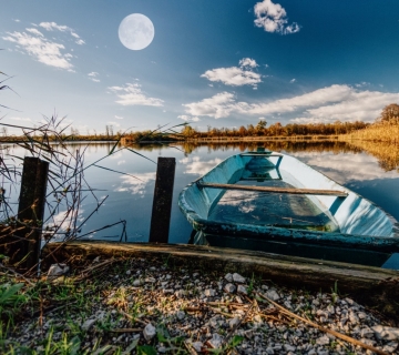 FOTO-SAFARI-MOCVARA-PUNA-ZIVOTA-29