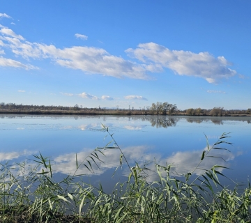 FOTO-SAFARI-MOCVARA-PUNA-ZIVOTA-3