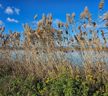 FOTO-SAFARI-MOCVARA-PUNA-ZIVOTA-36