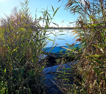 FOTO-SAFARI-MOCVARA-PUNA-ZIVOTA-41