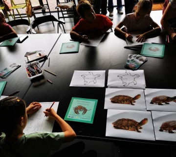 kARLOVAC-INVAZIVCI-8