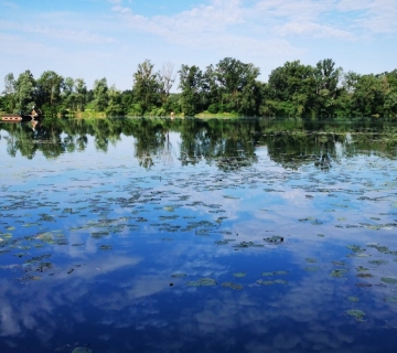 Sava-kod-Hruscice-Luka-Basrek-5