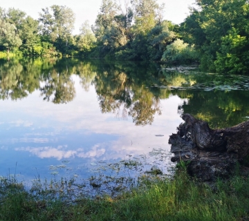 Sava-kod-Hruscice-Luka-Basrek-7