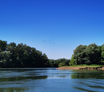 Sava-kod-Hruscice-Luka-Basrek-8