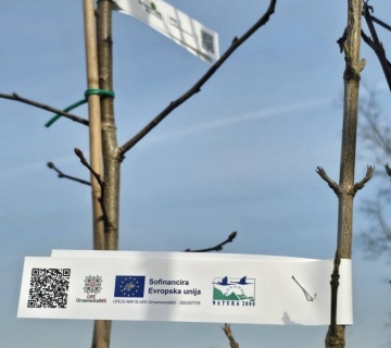 649754962_1347532030732121_3692915214251406983_n