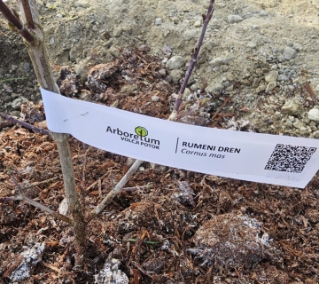 651046078_1347532944065363_3385881401790547539_n-1