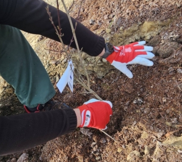 651728013_1347531717398819_6185008393070334309_n-1