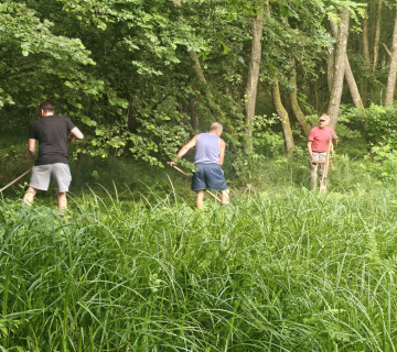 Kosnja_Cret-Dubravica-1