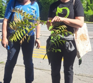 WhatsApp-Image-2025-05-29-at-12.07.23