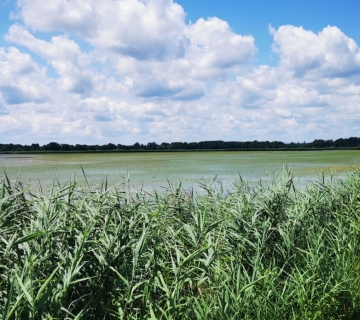 Pisarovina_Ploha-B2-zapunjena-vodom