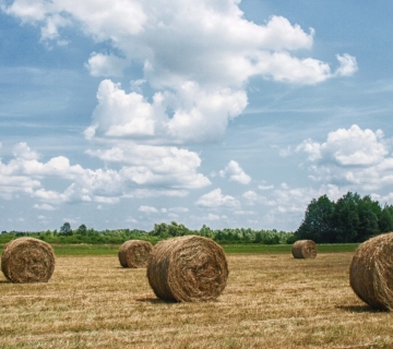 Odransko polje - uređena