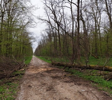 5-stupnicki-lug