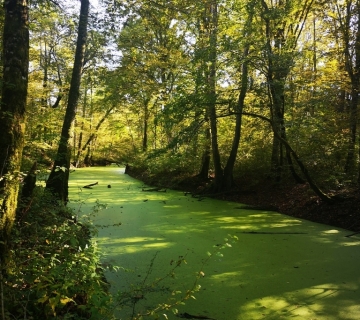 Foto-safari-cudesna-suma-Zutica-10