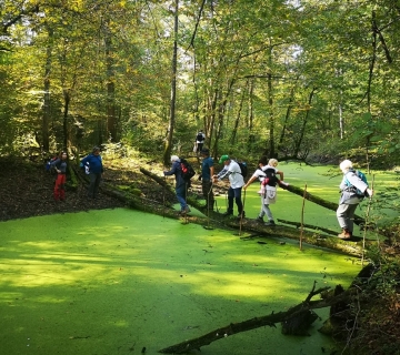 Foto-safari-cudesna-suma-Zutica-11