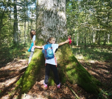 Foto-safari-cudesna-suma-Zutica-12