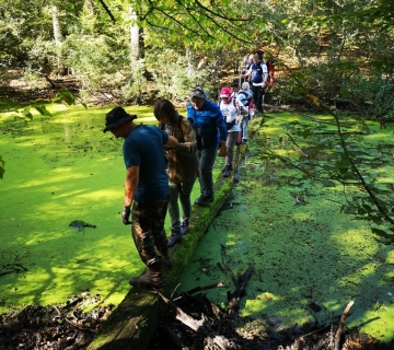 Foto-safari-cudesna-suma-Zutica-2