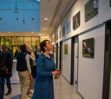 Otvorenje-izlozbe-2-Medium