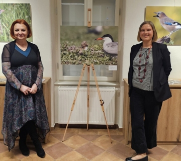 Poleti-sa-mnom-Ivanic-1