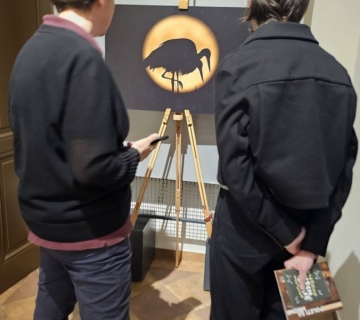 Poleti-sa-mnom-Ivanic-4