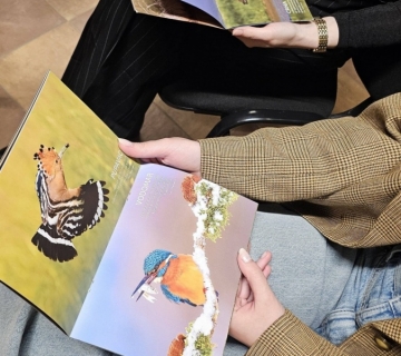 Poleti-sa-mnom-Ivanic-5