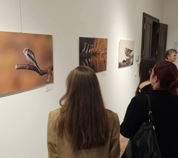 Poleti-sa-mnom-Ivanic-8