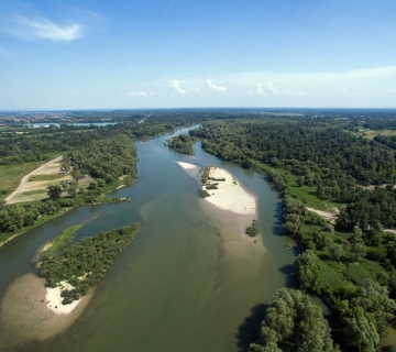 Sava-by-Roman-Avdagic-140