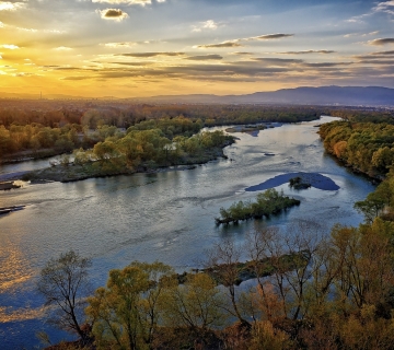 Sava-9-1