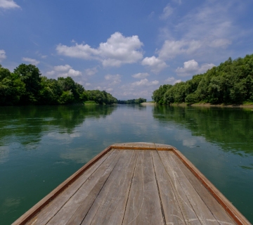 Sava-by-Roman-Avdagic-36