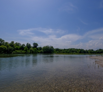 Sava-by-Roman-Avdagic-74