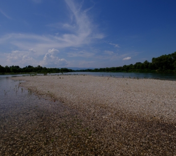 Sava-by-Roman-Avdagic-75