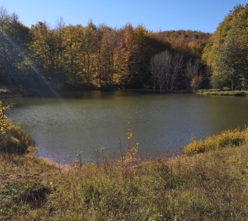 Seminar-cuvara-prirode-5