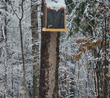 Straznik_hotel_za_kukce-5