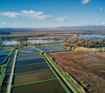 1-mjesto-Igor_Ferderber_Pticja-perspektiva-Crna-Mlaka