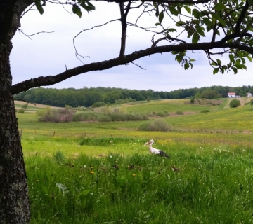 Uhvati-me-ako-mozes-1-nagrada