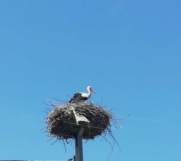 Uhvati-me-ako-mozes-2-nagrada