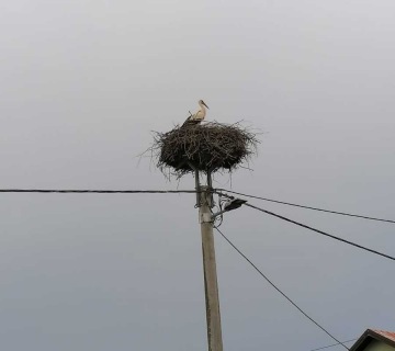 Uhvati-me-ako-mozes-3-mjesto