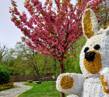 ZOO-uskrsni-ponedjeljak-15