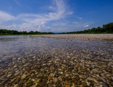 Svjetski dan voda - Cijenite vodu