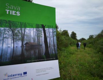 Ususret jeseni uklanjamo invazivne biljne vrste!