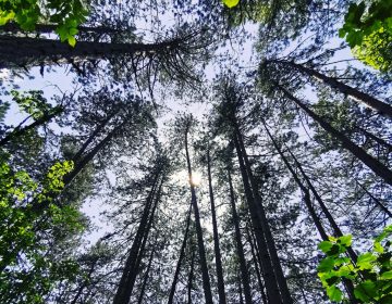 Tajanstveni svijet Zagrebačke županije