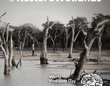 Vlažna staništa i voda