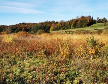 Obavijest o provođenju javne rasprave: Prijedlog plana upravljanja područjima ekološke mreže Gornji Hruševec – potok Kravarščica i Klasnići Obavijest o provođenju javne rasprave: Prijedlog plana upravljanja područjima ekološke mreže Gornji Hruševec – potok Kravarščica i Klasnići