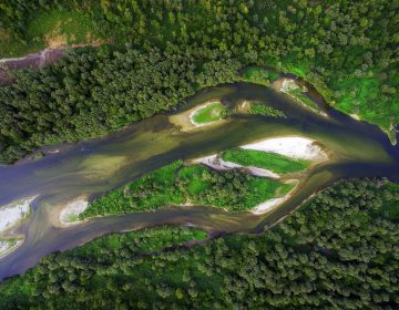Dan Natura 2000 mreže